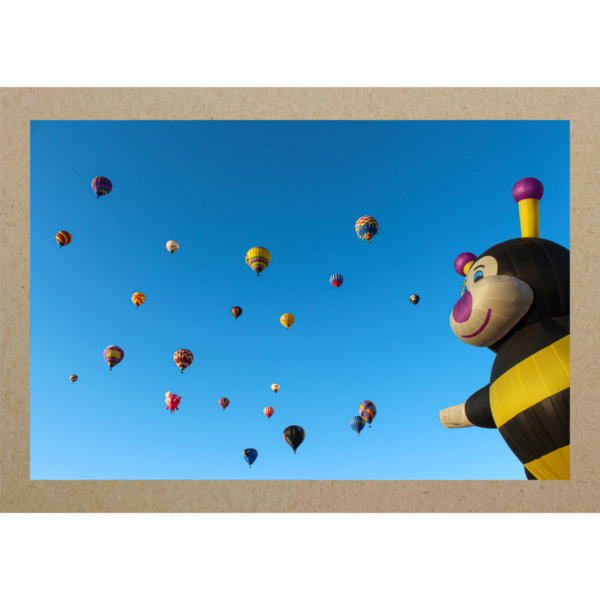 Heissluftballons mit Biene