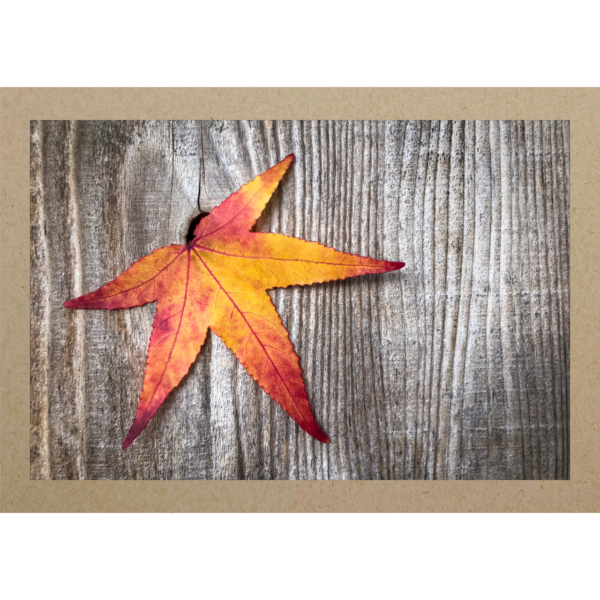 Herbstblatt aus Holzwand