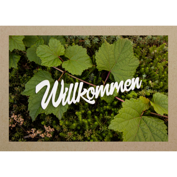 WILLKOMMEN im Wald