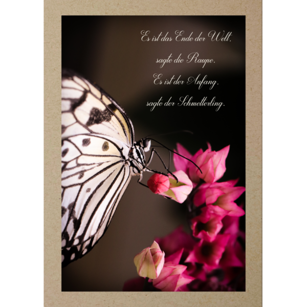 Trauerkarte Weisser Schmetterling an pinker Blume mit Trauertext